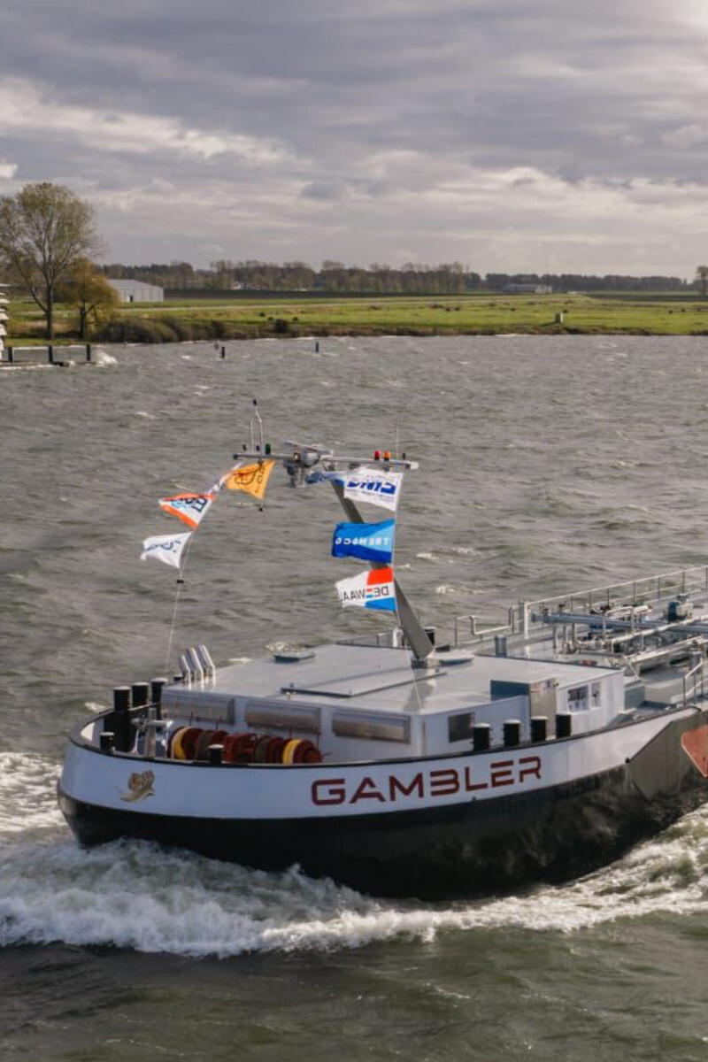 Mts Gambler Trendco